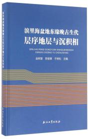 滨里海盆地东缘晚古生代层序地层与沉积相