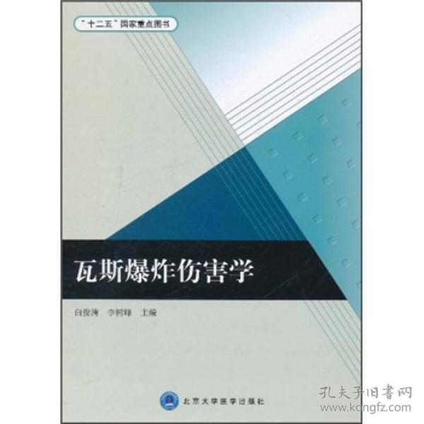 “十二五”国家重点图书：瓦斯爆炸伤害学