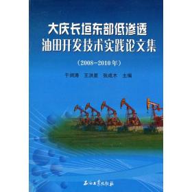 大庆长垣东部低渗透油田开发技术实践论文集(2008—2010年）