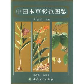 中国本草彩色图鉴：草药篇（第4卷）