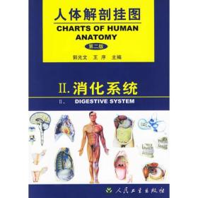 消化系统//人体解剖挂图(第2版)