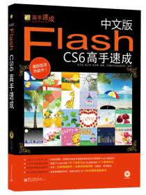 Flash CS6高手速成-中文版