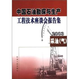 中国石油勘探与生产工程技术座谈会报告集