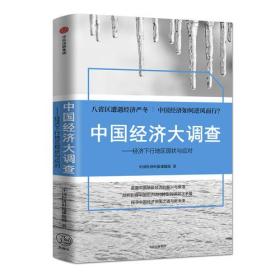 中国经济大调查：经济下行地区现状与应对