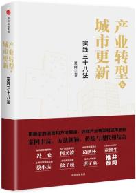 产业转型与城市更新：实践三十八法