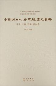 中国城市人居环境历史图典  甘肃 宁夏 青海 新疆卷