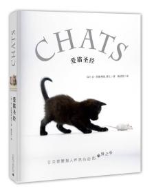 爱猫圣经