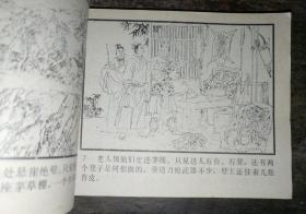 映雪代嫁 再生缘之二 【连环画】