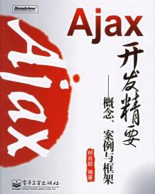 Ajax开发精要：概念、案例与框架