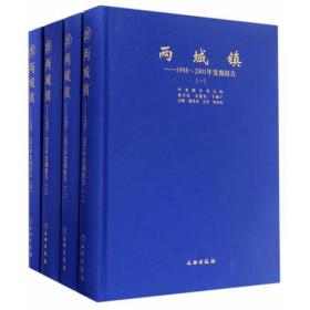 两城镇--1998～2001年发掘报告（单册出售《二》）无封面