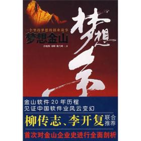 梦想金山：一个坚持梦想的创业故事