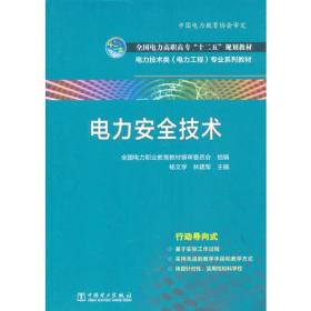 全国电力高职高专“十二五”规划教材 电力技术类（电力工程)专业系列教材 电力安全技术