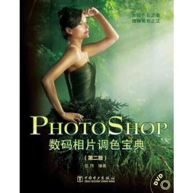 Photoshop数码相片调色宝典（第二版）