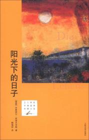 21世纪年度最佳外国小说：阳光下的日子