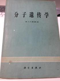 分子遗传学 （美）G.S.斯坦特