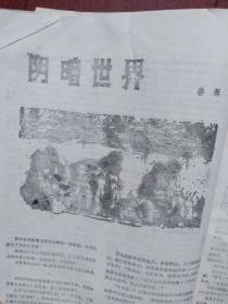 小说林增刊（通俗小说精选）（80年代通俗文学）封面美女  华丹啤酒广告，柳辉中篇传奇小说《一箭双雕》《警官泪》徐善新中篇传奇小说《阴暗的世界》有令峻中篇传奇小说《神弹女杰》于显《流浪女的姻缘》严民《风流女囚》刘峰《死魂》，有插图，