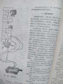 小说林增刊（通俗小说精选）（80年代通俗文学）封面美女  华丹啤酒广告，柳辉中篇传奇小说《一箭双雕》《警官泪》徐善新中篇传奇小说《阴暗的世界》有令峻中篇传奇小说《神弹女杰》于显《流浪女的姻缘》严民《风流女囚》刘峰《死魂》，有插图，