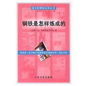 钢铁是怎样炼成的 苏联 尼奥斯特洛夫斯基 著 梅益 译 人民文学出版社 9787020041428