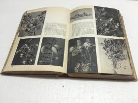The Pictorial Encyclopedia of PLANTS and FLOWERS【图说植物和花的百科全书  一千多幅图片  图文并茂 】