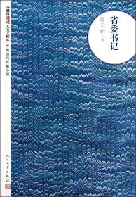 朝内166人文文库·中国当代长篇小说：省委书记