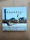 大庆湿地百鸟图:张亚飞摄影集