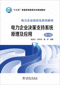 电力企业决策支持系统原理及应用（第二版）