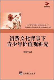 正版书 消费文化背景下青少年价值观研究