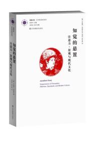 凤凰文库艺术理论研究系列 知觉的悬置注意力、景观与现代文化