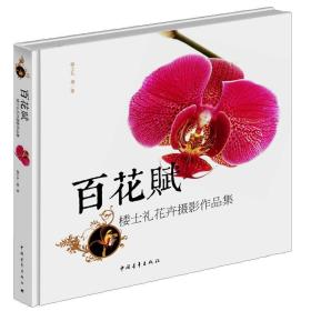 百花赋：楼士礼花卉摄影