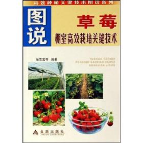 图说草莓棚室高效栽培关键技术——高效种植关键技术图说系列