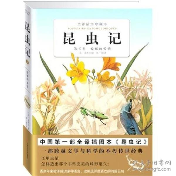 昆虫记：第五卷 螳螂的爱情