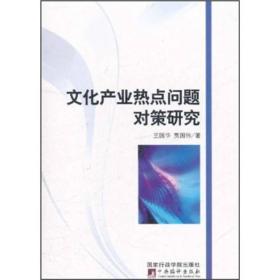 文化产业热点问题对策研究