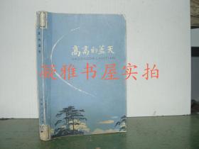 高高的蓝天  天津人民出版社  该书详情请见图片
