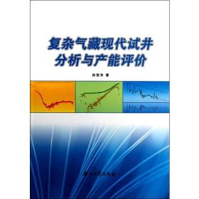 复杂气藏现代试井分析与产能评价
