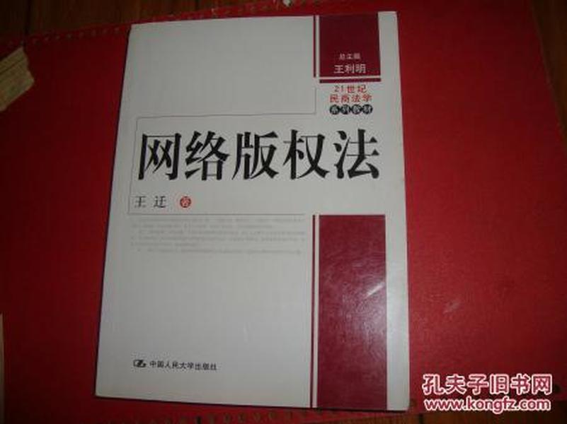 21世纪民商法学系列教材：网络版权法 王迁著