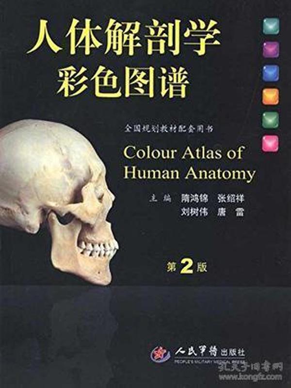 人体解刨学彩色图谱 第二版