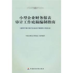 小型企业财务报表审计工作底稿编制指南（适用于审计执行企业会计制度的小企业）