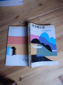 壮志撼山岳【如图38号