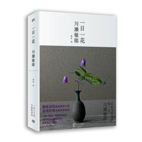 一日一花 正版现货品好适合收藏带腰封精装