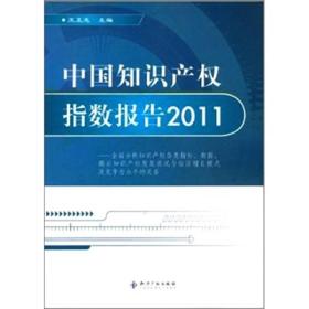 中国知识产权指数报告