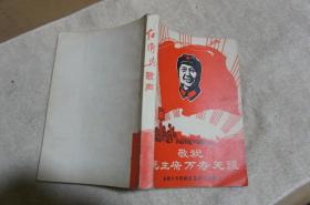 红卫兵歌声（敬祝毛主席万寿无疆）献给九大