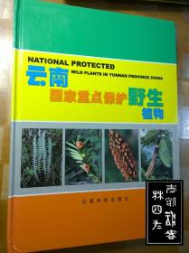 云南国家重点保护野生植物