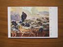 《日本陆军发行彩色绘画军事明信片》3张（蒙古,哈尔滨,北满）民国时期