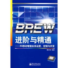 BREW进阶与精通：3G移动增值业务运营、定制与开发