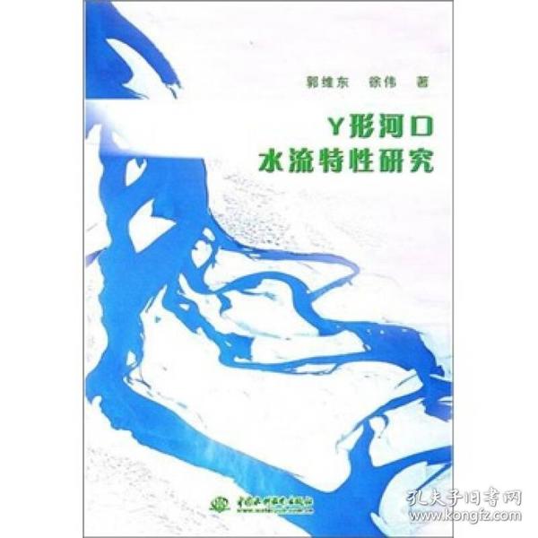 Y 形河口水流特性研究