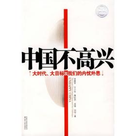 正版微残85品-中国不高兴-大时代?大目标及我们的内忧外患(封面自然旧)FC9787214056061江苏人民出版社宋晓军