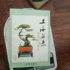 上海盆景欣赏与制作