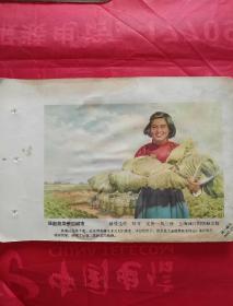 1957年年画缩样  保证蔬菜供应城市