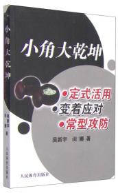 小角大乾坤：定式活用 变着应对 常型攻防