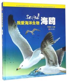 青岛出版社 海鸥/我爱海洋生物(精)